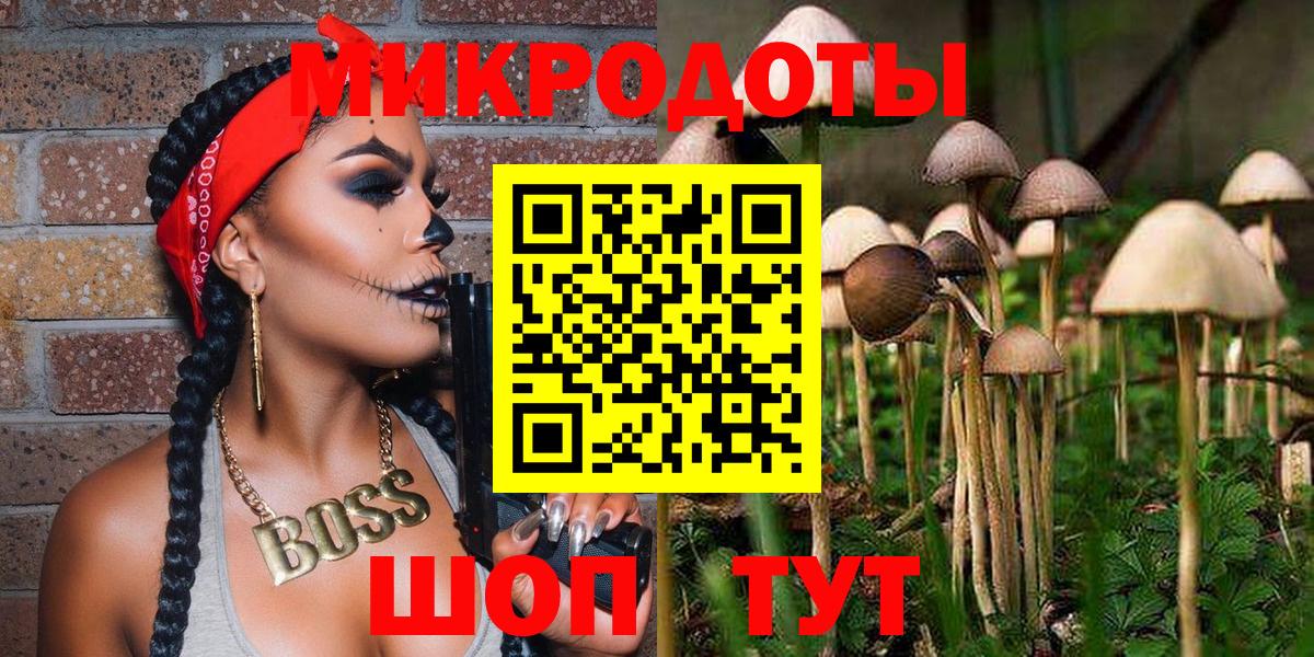 Лысьва  Галлюциногенные грибы Cubensis  Вход с VPN 
