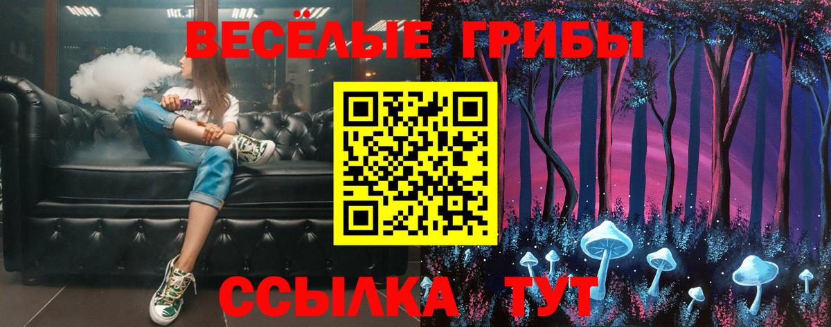 Псилоцибиновые грибы Psilocybine cubensis Лысьва